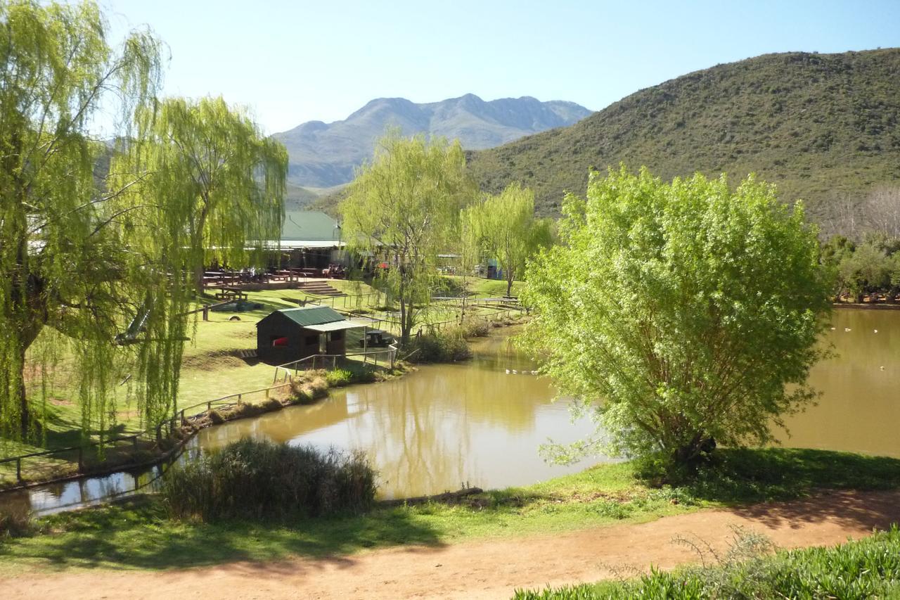 Wilgewandel Holiday Farm & Day Restaurant 오쇼른 외부 사진